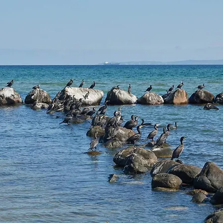 Σπίτι διακοπών 4 Star In Dronningmolle Gilleleje